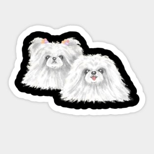 White Pekinese Sticker